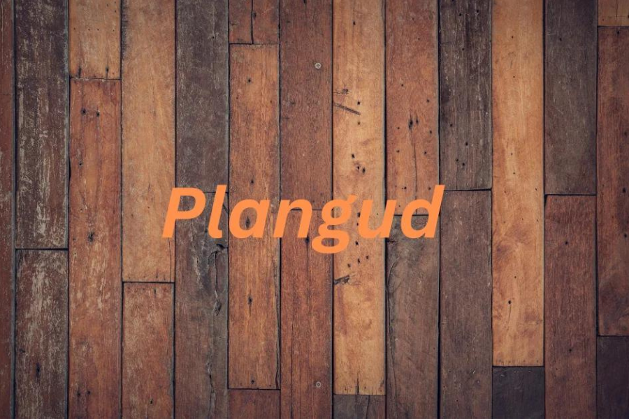 plangud